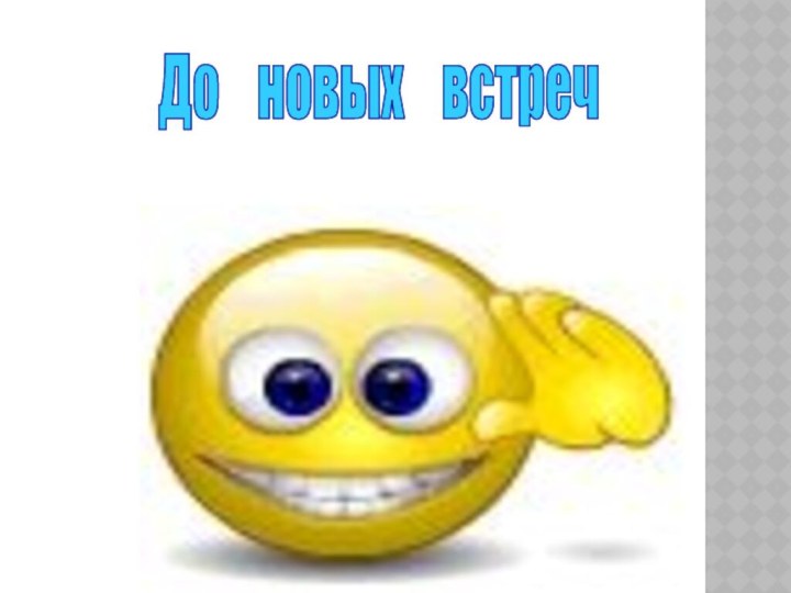 До  новых  встреч