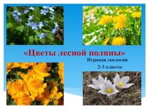 Цветы лесной поляны методическая разработка (2 класс)