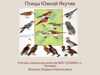 Презентация  Птицы Южной Якутии презентация к уроку по окружающему миру (3 класс) по теме