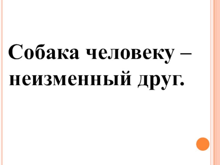 Собака человеку – неизменный друг.