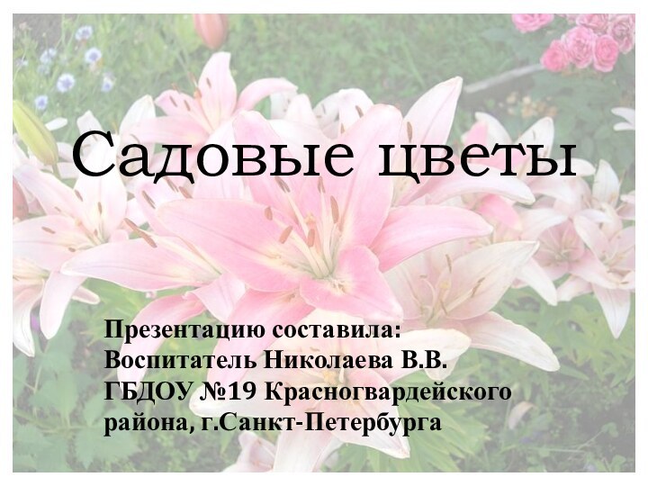 Садовые цветыПрезентацию составила:Воспитатель Николаева В.В.ГБДОУ №19 Красногвардейскогорайона, г.Санкт-Петербурга