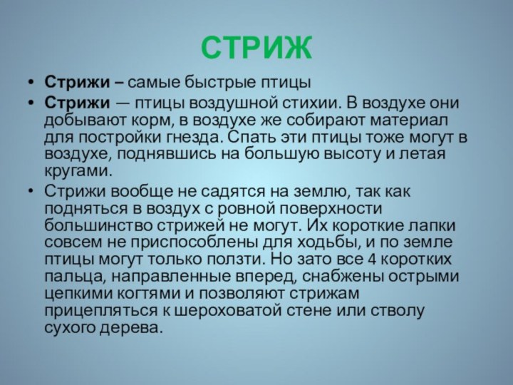 СТРИЖСтрижи – самые быстрые птицыСтрижи — птицы воздушной стихии. В воздухе они добывают