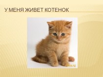 Конспект ОС У меня живет котенок (с презентацией) план-конспект занятия (младшая группа)