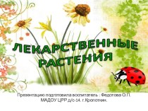 Презентация : Лекарственные растения. презентация к занятию (подготовительная группа) по теме