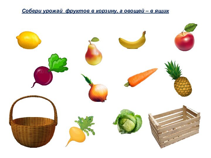 Собери урожай фруктов в корзину, а овощей – в ящик
