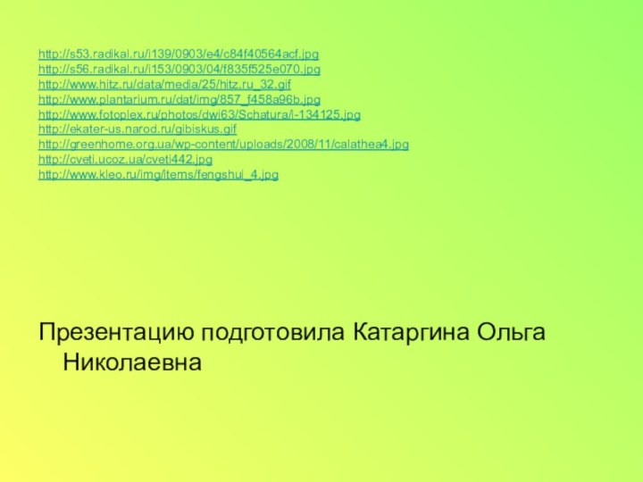 http://s53.radikal.ru/i139/0903/e4/c84f40564acf.jpghttp://s56.radikal.ru/i153/0903/04/f835f525e070.jpghttp://www.hitz.ru/data/media/25/hitz.ru_32.gifhttp://www.plantarium.ru/dat/img/857_f458a96b.jpghttp://www.fotoplex.ru/photos/dwi63/Schatura/i-134125.jpghttp://ekater-us.narod.ru/gibiskus.gifhttp://greenhome.org.ua/wp-content/uploads/2008/11/calathea4.jpghttp://cveti.ucoz.ua/cveti442.jpghttp://www.kleo.ru/img/items/fengshui_4.jpgПрезентацию подготовила Катаргина Ольга Николаевна