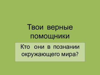 презентация к уроку окружающего мира Твои верные помощники в 1 классе УМК Гармония презентация урока для интерактивной доски по окружающему миру (1 класс) по теме