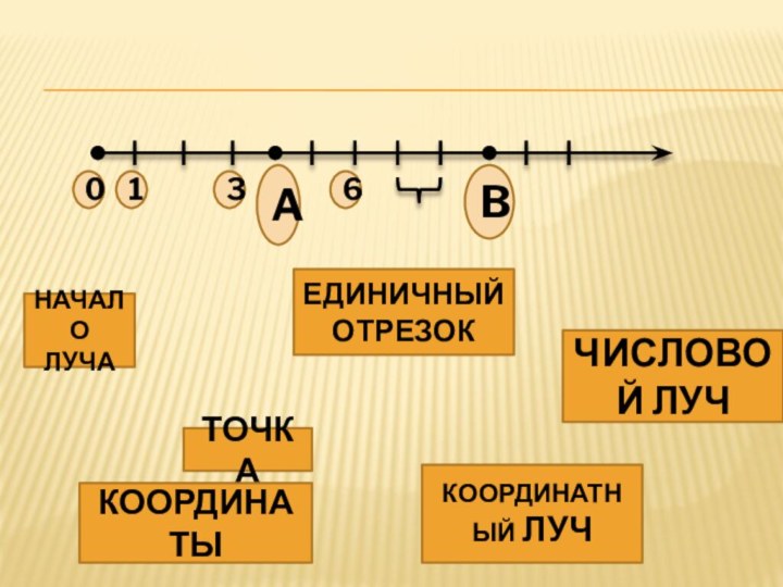 ТОЧКАЧИСЛОВОЙ ЛУЧНАЧАЛО ЛУЧАКООРДИНАТЫЕДИНИЧНЫЙ ОТРЕЗОК КООРДИНАТНЫЙ ЛУЧ AB1360