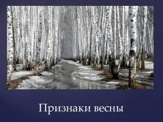 Непосредственная образовательная деятельность. Тема: Весна план-конспект занятия по развитию речи (подготовительная группа)