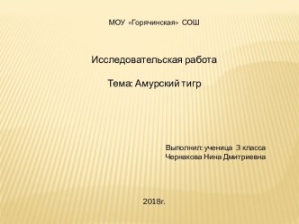 Работы учеников презентация к уроку по окружающему миру (3 класс)