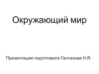 Презентация о разных растениях презентация урока для интерактивной доски по окружающему миру (4 класс)