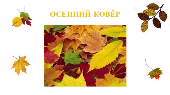 ОСЕННИЙ КОВЁР