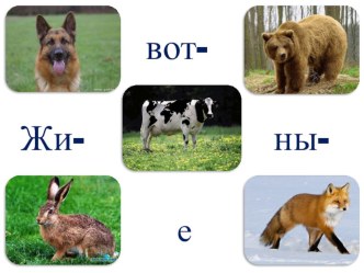 Словарные слова  Животные 1 класс презентация к уроку по русскому языку (1 класс)