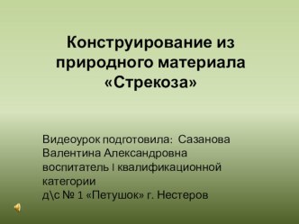 Видеоурок видеоурок по аппликации, лепке (старшая группа) по теме