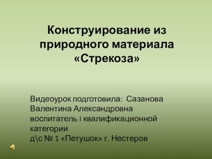 Конструирование из природного материала «Стрекоза»Видеоурок подготовила: Сазанова Валентина Александровна воспитатель I квалификационной