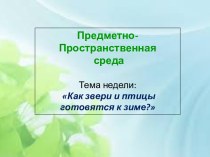 Предметно-пространственная среда в группе. Тема недели: Как звери и птицы готовятся к зиме? материал (старшая группа)