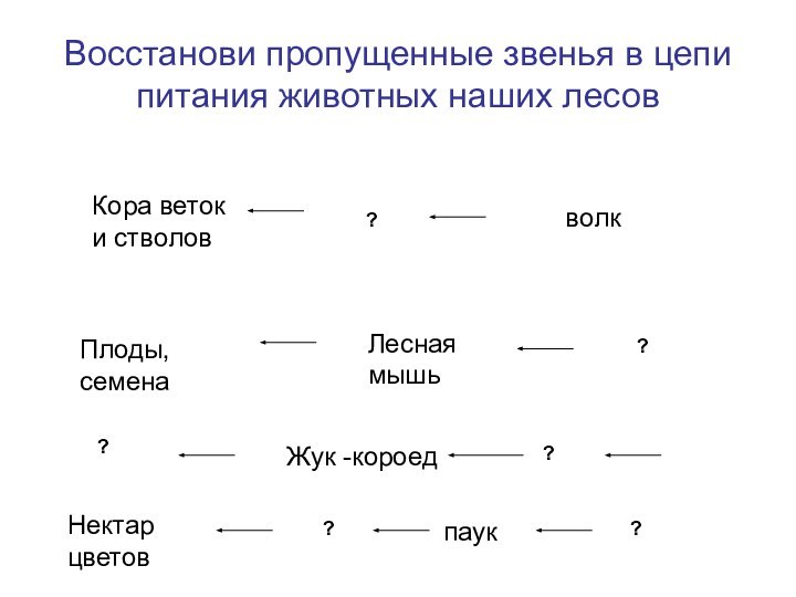 Восстанови пропущенные звенья в цепи питания животных наших лесовКора веток и стволов