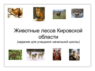 Презентация Животные наших лесов презентация к уроку (окружающий мир, 3 класс)
