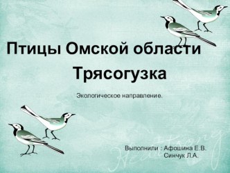 Презентация Трясогузка презентация к уроку по окружающему миру (старшая группа)