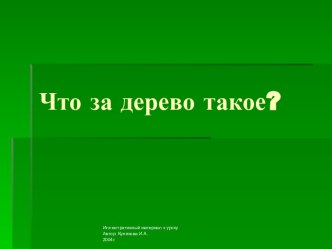 НОД Что за дерево такое? план-конспект занятия по окружающему миру (средняя группа)