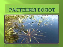 Презентация к занятию по окружающему мируРастения болот. презентация к занятию по окружающему миру (подготовительная группа) по теме