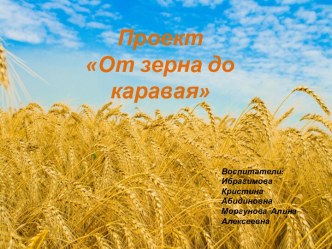 Проект От зерна до каравая проект (старшая группа)