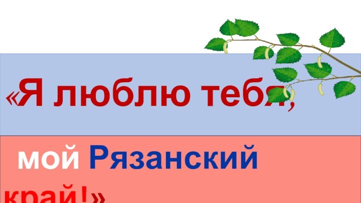 «Я люблю тебя,		мой Рязанский край!»