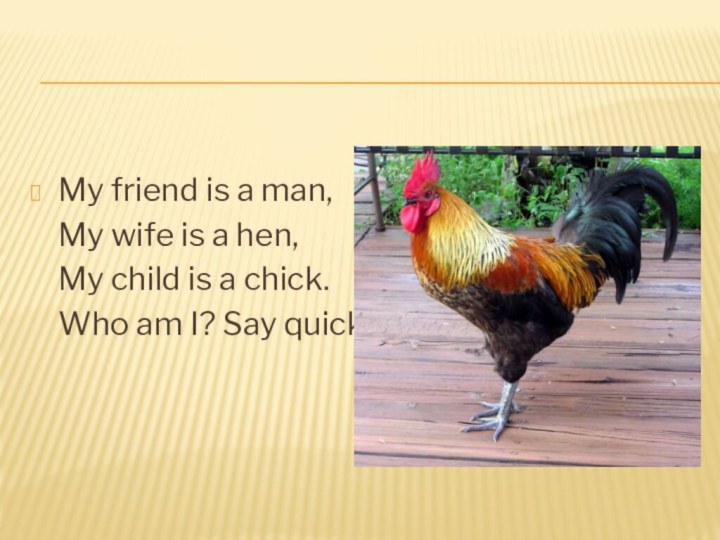 My friend is a man,  My wife is a hen,