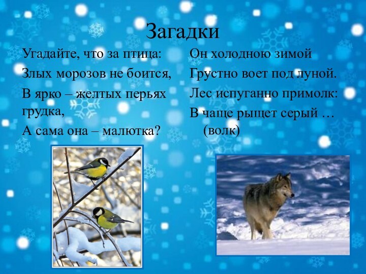 ЗагадкиУгадайте, что за птица:Злых морозов не боится,В ярко – желтых перьях грудка,А