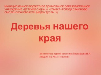 Деревья нашего края презентация урока для интерактивной доски по окружающему миру (старшая группа)