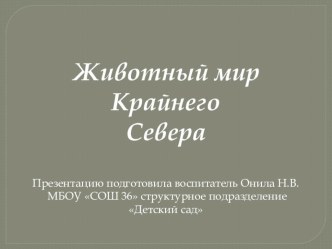 Животный мир Крайнего Севера презентация к уроку по окружающему миру (старшая группа)