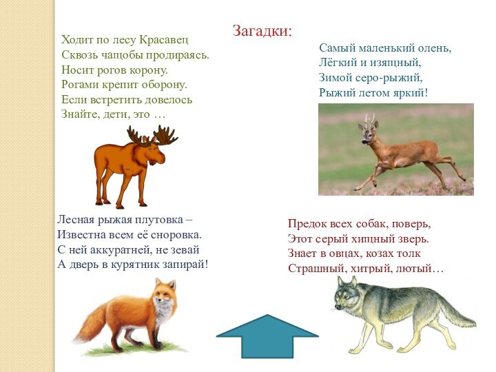 Загадки:Ходит по лесу Красавец Сквозь чащобы продираясь. Носит рогов корону. Рогами крепит