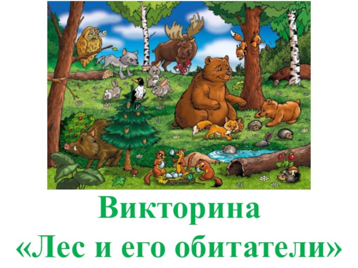 Викторина «Лес и его обитатели»
