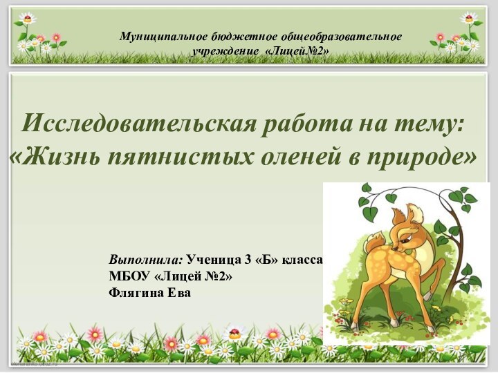 Исследовательская работа на тему: «Жизнь пятнистых оленей в природе»Муниципальное бюджетное общеобразовательное