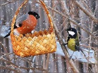 fizminutka dlya glaz zimuyushchie ptitsy