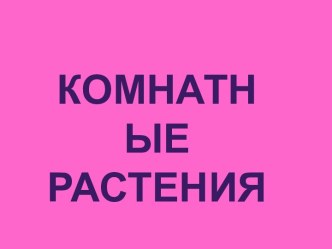 Загадки о комнатных растениях презентация к уроку по окружающему миру (подготовительная группа)