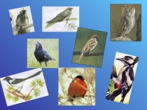 Международный день птиц Птичий переполох. методическая разработка по теме