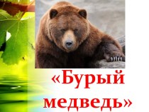 Презентация Бурый медведь презентация к уроку по окружающему миру (подготовительная группа)