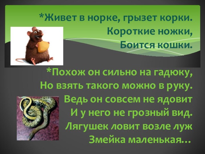 *Живет в норке, грызет корки. Короткие ножки,  Боится кошки.  *Похож