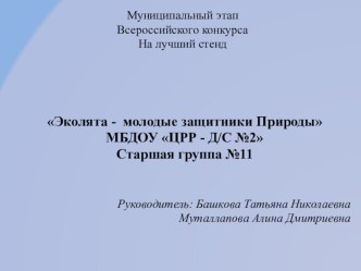 Эколята - молодые защитники Природы презентация к уроку по окружающему миру (старшая группа)