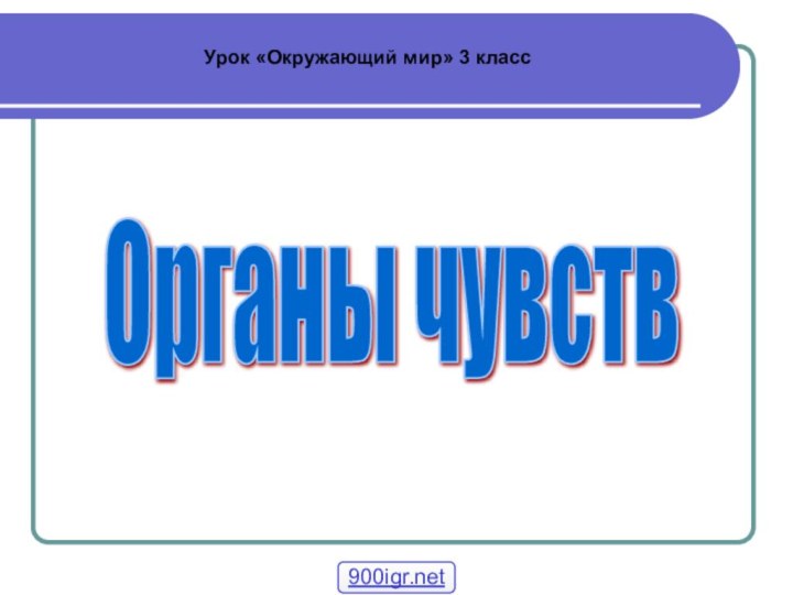 Органы чувств Урок «Окружающий мир» 3 класс