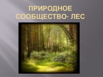 Открытый урок окружающего мира во 2 классе Лес и человек план-конспект урока по окружающему миру (2 класс)