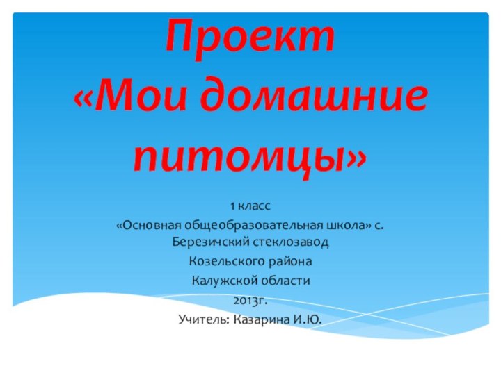 Проект «Мои домашние питомцы»1 класс«Основная общеобразовательная школа» с.Березичский стеклозаводКозельского районаКалужской области2013г.Учитель: Казарина И.Ю.