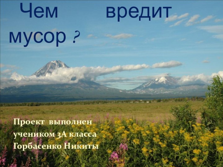 Проект выполненучеником 3А классаГорбасенко Никиты	Чем вредит мусор ?