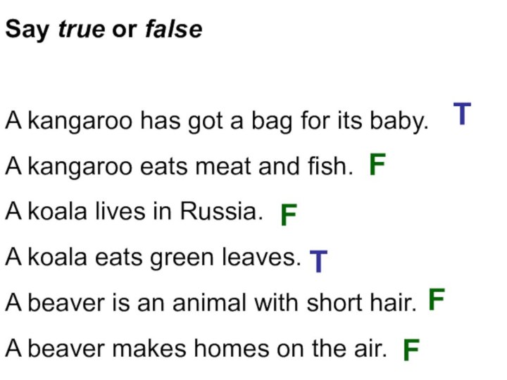 Say true or false  A kangaroo has got a bag for