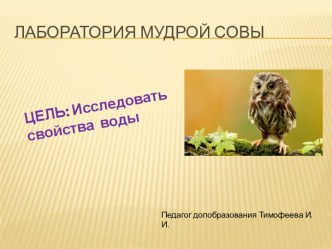 Занятие по экологии Лаборатория мудрой совы методическая разработка по окружающему миру (2 класс) по теме
