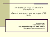 Развивающая среда как компонент инклюзивного обучения в начальной школе в рамках ФГОС НОО презентация