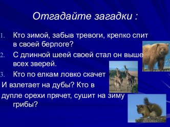 Урок по окружающему миру Осторожно, животные! план-конспект урока по окружающему миру (3 класс)