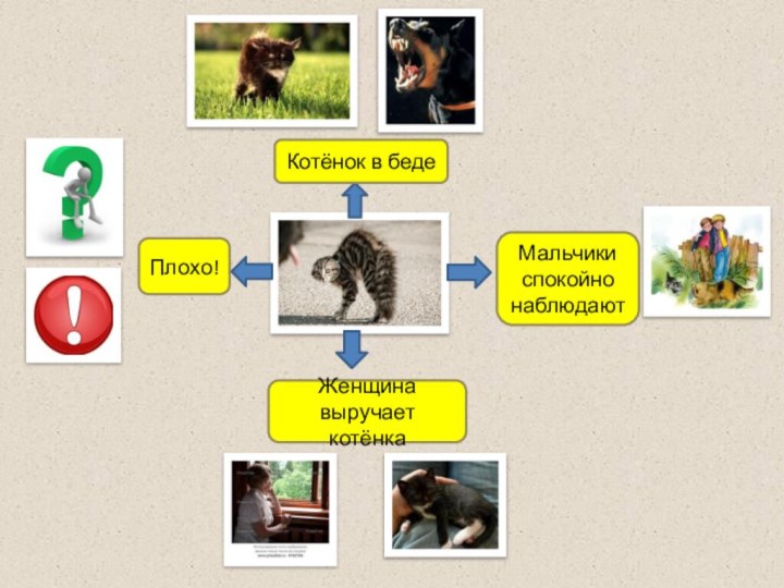 Котёнок в бедеМальчики спокойно наблюдаютЖенщина выручает котёнкаПлохо!