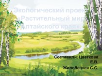 Проект Растительный мир Алтайского края проект по аппликации, лепке (старшая, подготовительная группа)